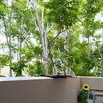 Forum Apartment
