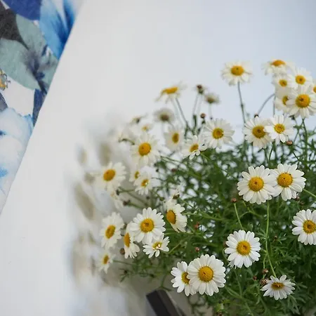 城市论坛公寓酒店